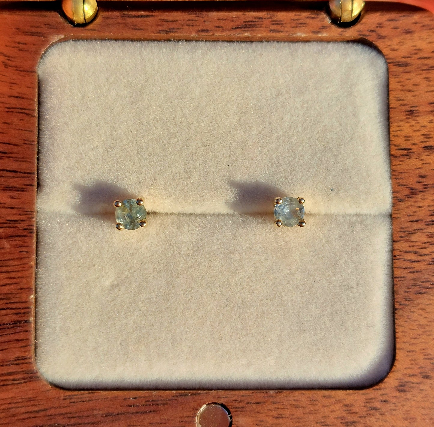 4mm Montana stud earrings in 9ct yellow gold